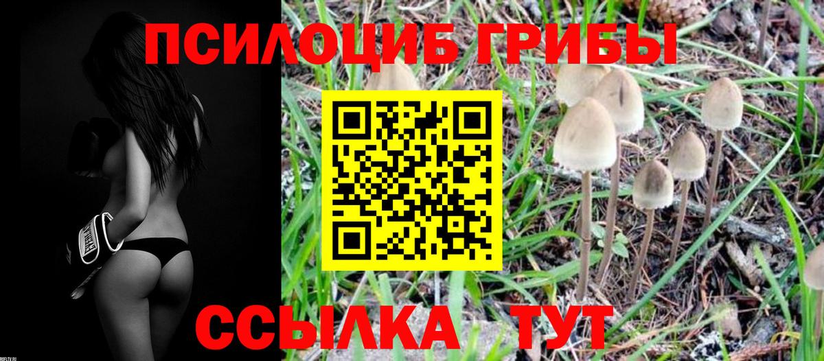 Дербент  Псилоцибиновые грибы Magic Shrooms  Вход с VPN 